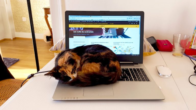 Le chat empêche d'écrire
